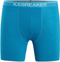 Icebreaker Anatomica Long Boxers Ms GEO BLUE